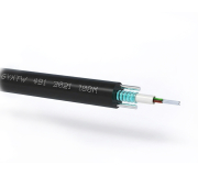 สายไฟเบอร์ออฟติก GYXTW 4 Core (Single Mode) Outdoor Armored ขนาด 8.0mm (เกราะเหล็กกันหนู)