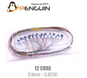 Pigtail 12 Core หัว LC/UPC 0.9mm ยาว 1 เมตร
