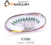 Pigtail LC/APC 12 Core | Single Mode| Tight Buffer 0.9mm Pigtail LC/APC 12 Core | Single Mode| Tight Buffer 0.9mm