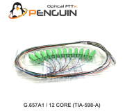 12 Core Pigtail SC/APC 0.9mm Tight Buffer 1 เมตร