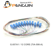 12 Core Pigtail SC/UPC G.657A1 - 0.9mm Tight Buffer 1 เมตร 12 Core Pigtail SC/UPC G.657A1 - 0.9mm Tight Buffer 1 เมตร